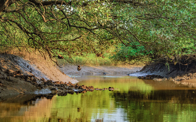 Salim Ali Lake